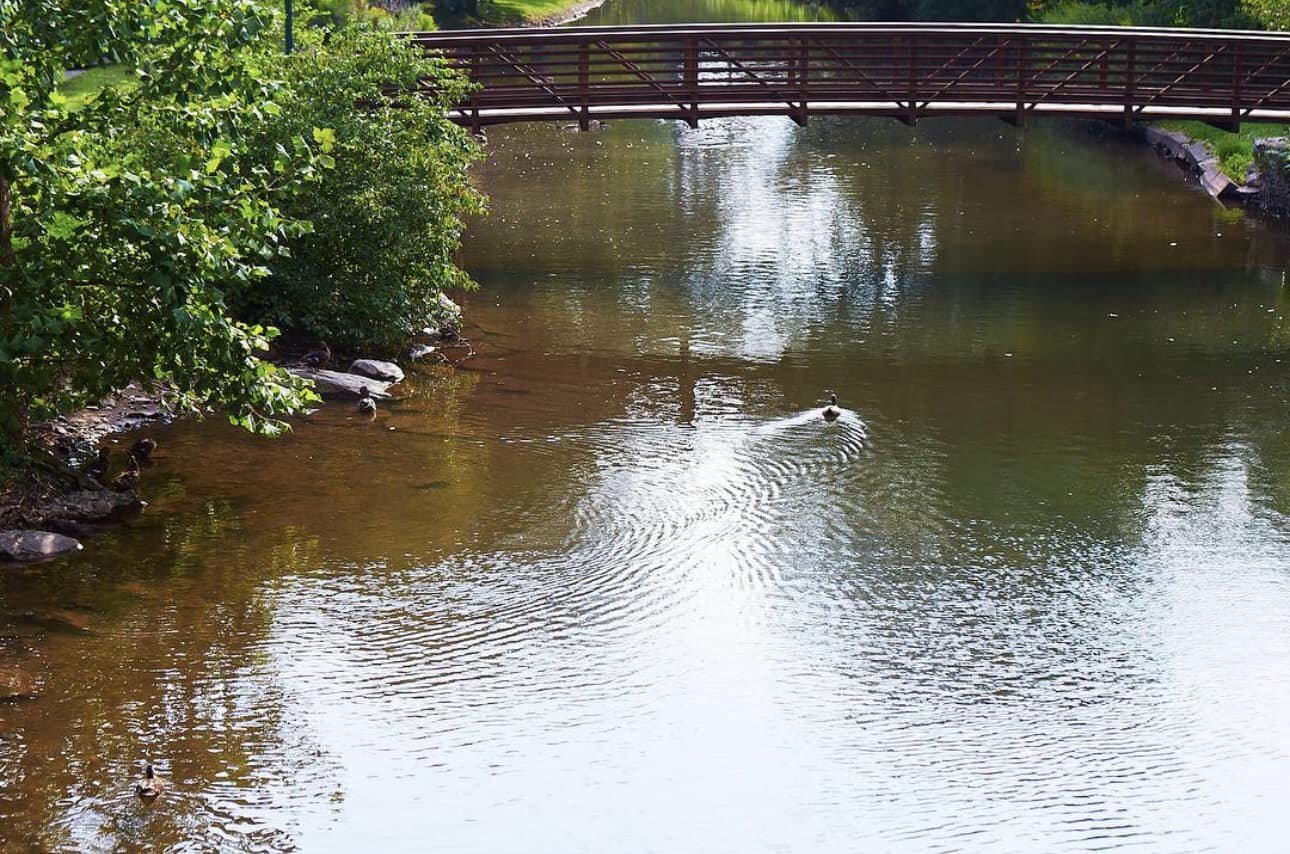 It&rsquo;s pretty chilly this morning in the Catskills but the Binnekill ducks don&rsquo;t seem to mind. 🦆It will be in the 60s this afternoon so join us for dining on the deck! Chef Kurt has some delicious specials planned, Happy Hour from 4-6pm, o